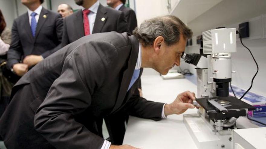 El secretario de Estado de Investigación, Carlos Martínez Alonso (d), ante el diputado general de Guipúzcoa, Markel Olano (i) y el consejero vasco de Educación, Tontxu Campos (2-i), mira por un microscopio durante la inauguración del centro CIC Nanogune sobre investigación en nanociencia y nanotecnología en San Sebastián