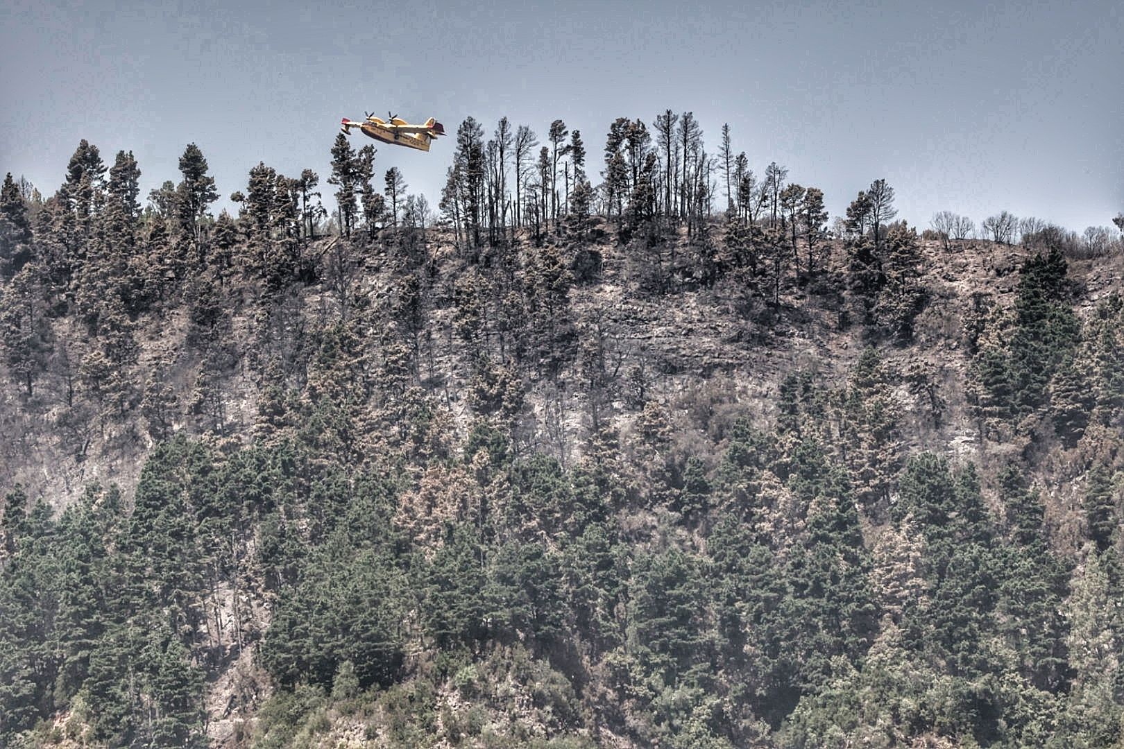 Siguen las tareas de extinción del incendio de Tenerife