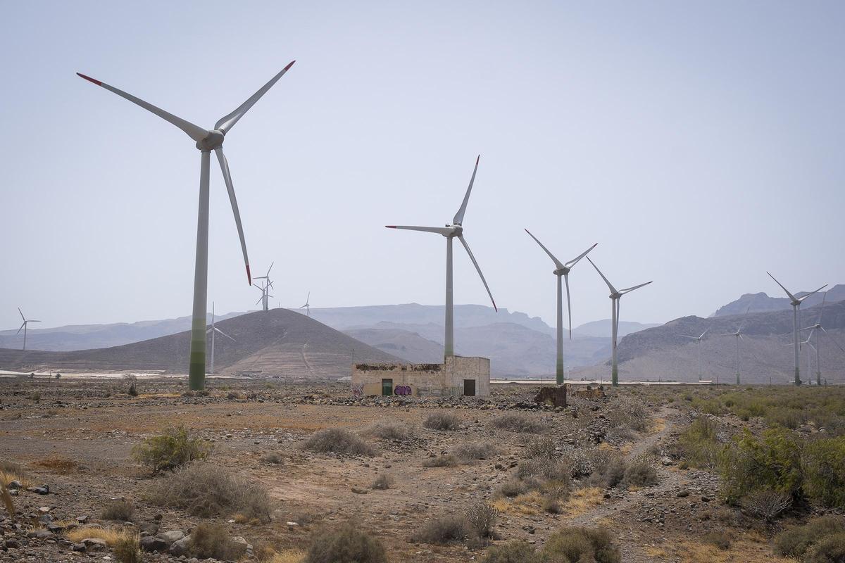 Instal·lació eòlica amb diferents molins funcionant.