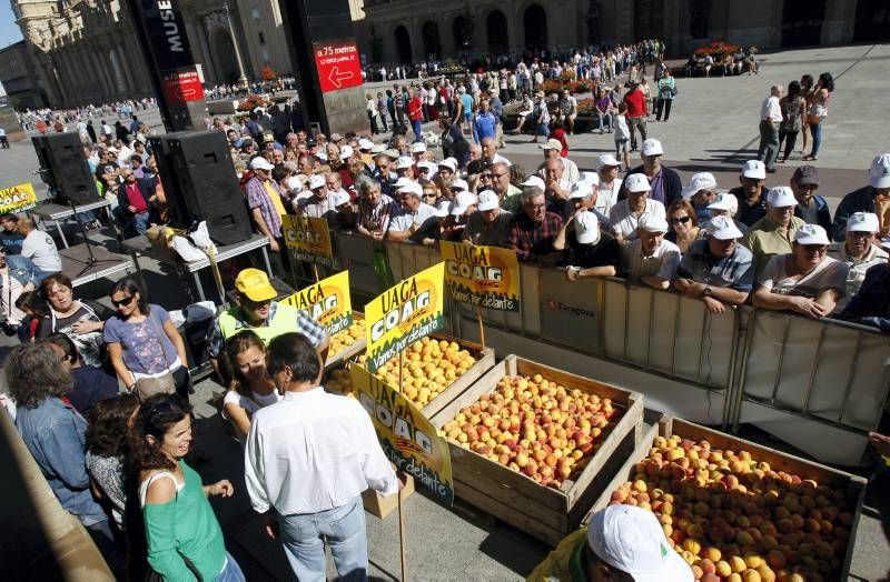 El sector reparte 4.000 kilos de fruta en la Plaza del Pilar