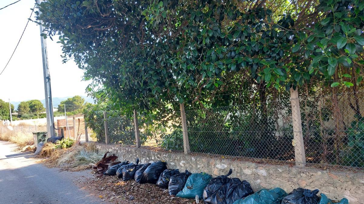 La poda se acumula junto a las aceras en la urbanización Camí de Paterna