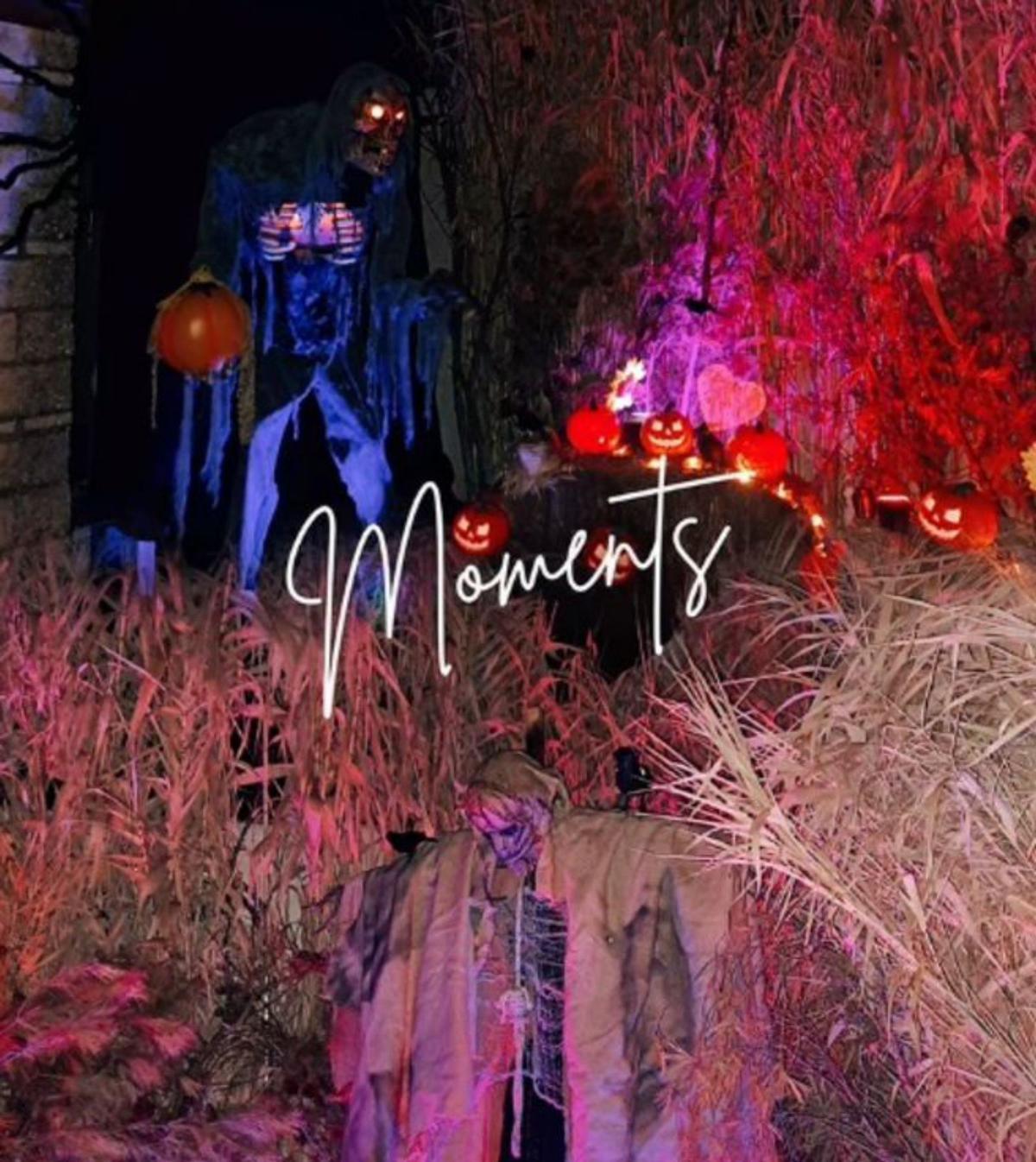 Valdejalón se viste de terror y misterio