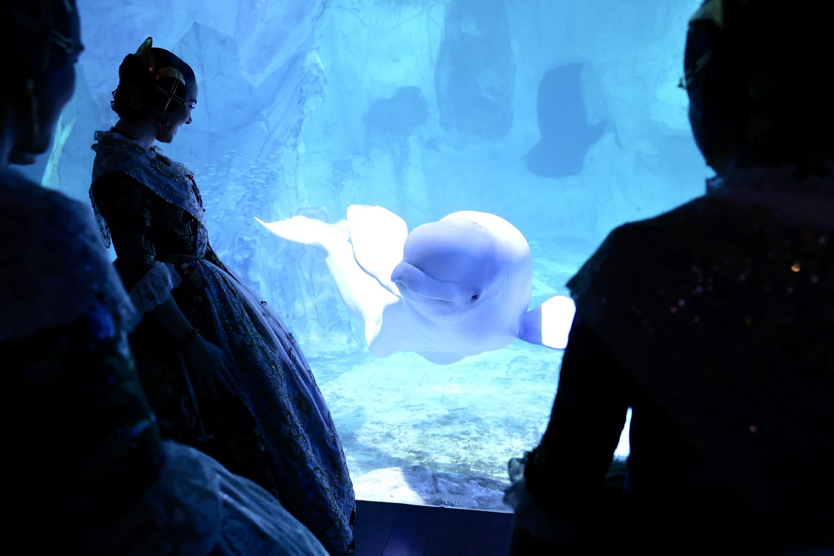 Cita de las candidatas a Fallera Mayor 2026 en l'Oceanogràfic