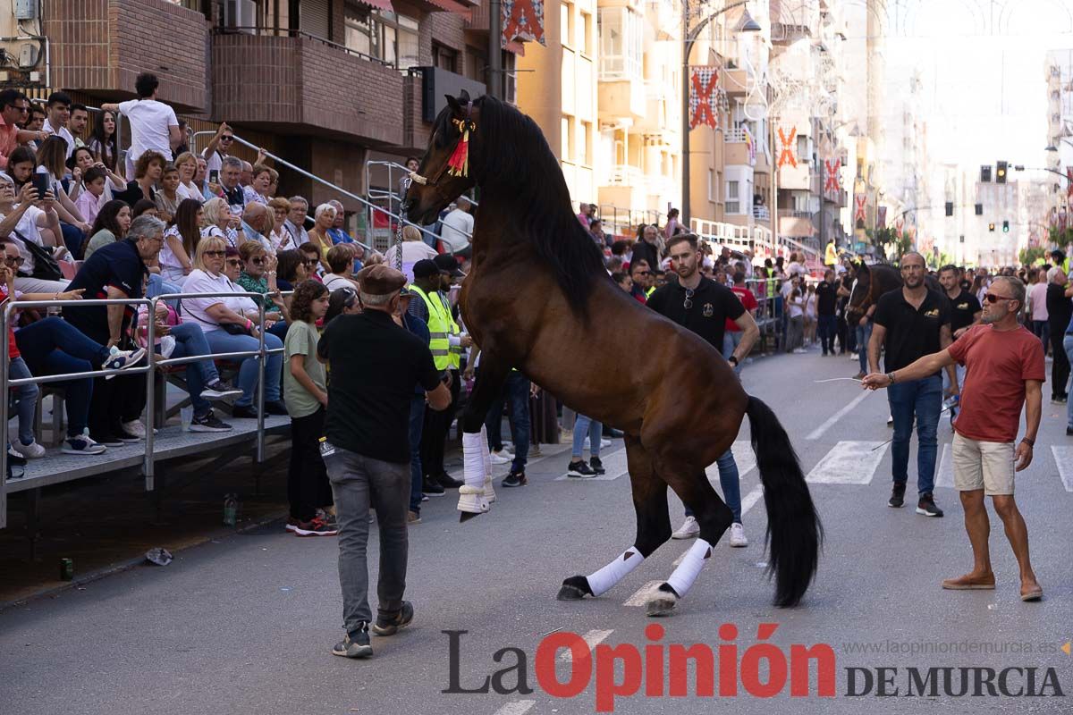 Pasacalles caballos del vino al hoyo