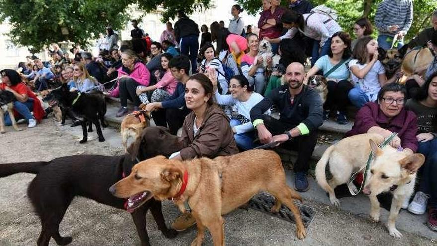 Los participantes en el paseo multitudinario en el centro de Pontevedra. // Gustavo Santos