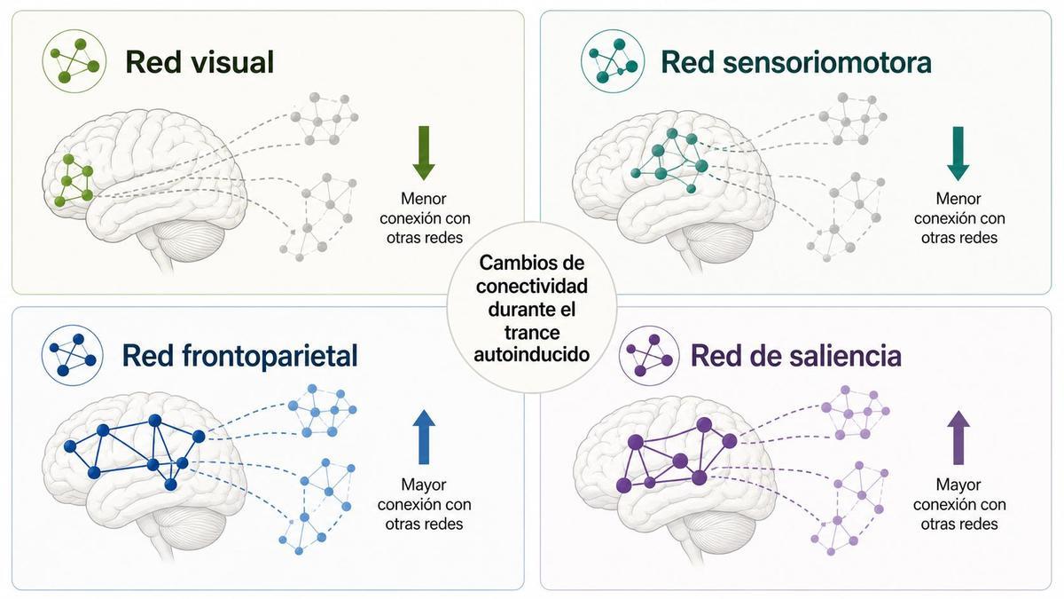 Infografía original que sintetiza los cambios de conectividad registrados durante el trance autoinducido: disminución de los vínculos de las redes visual y sensoriomotora, y refuerzo selectivo de las redes frontoparietal y de saliencia.