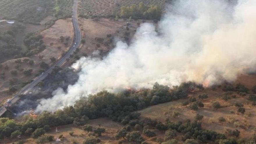 Incendio forestal en la sierra de Adamuz