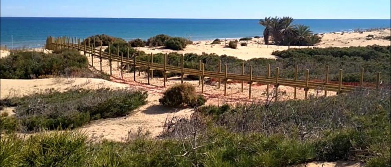 Una pasarela al mar sobre las dunas de Guardamar