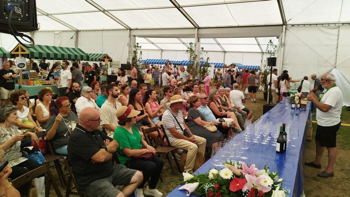 Un momento de las actividades sobre vinos, celebrada este sábado en la carpa de Fapea, con numeroso público.
