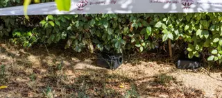 Queixes de veïns per la presència de rates en un parc del sector Concòrdia de Manresa