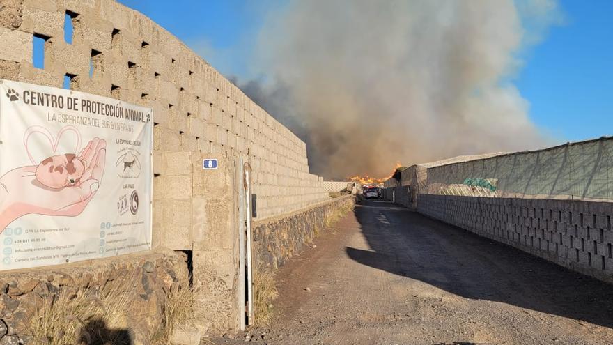 Incendio planta compostaje en Arona