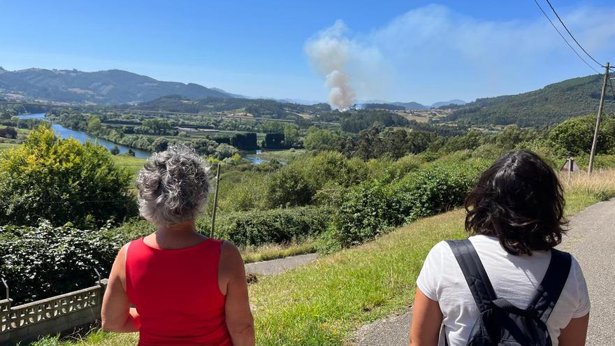 Un incendio forestal en Pravia alerta a los vecinos: &quot;Se ve una gran columna de humo&quot;