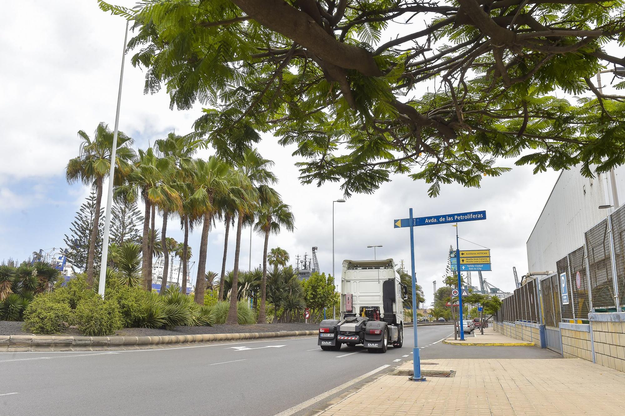 Zonas ajardinadas en el Puerto de La Luz y Las Palmas