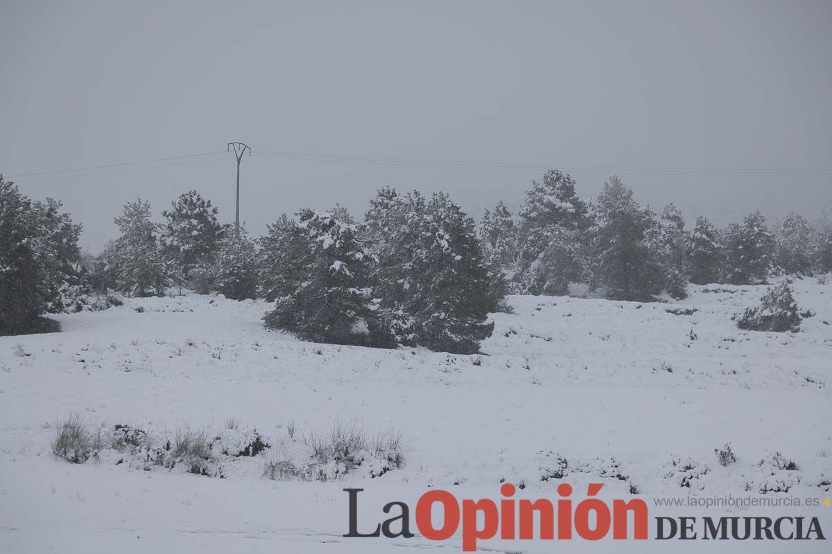 Continúa la nevada en las zonas altas de la comarca del Noroeste