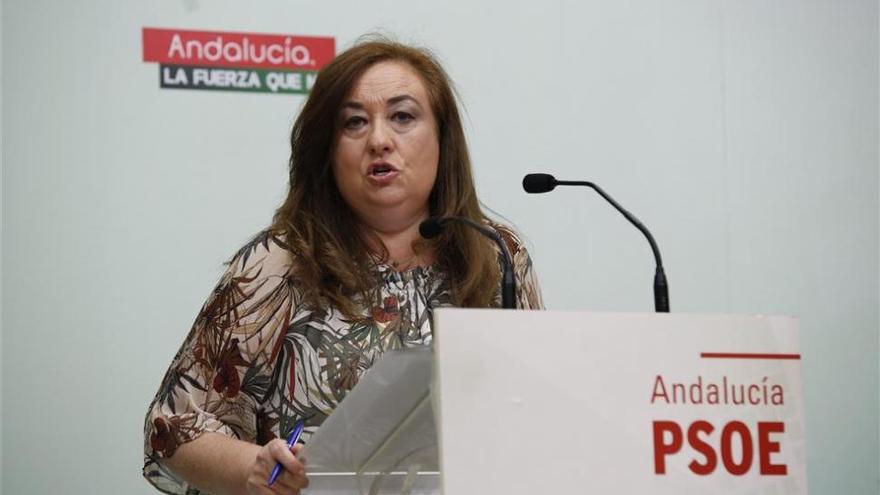 Soledad Pérez: &quot;La igualdad necesita un régimen sancionador&quot;