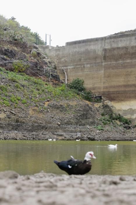 Embalses Valle Tabares y Tegueste