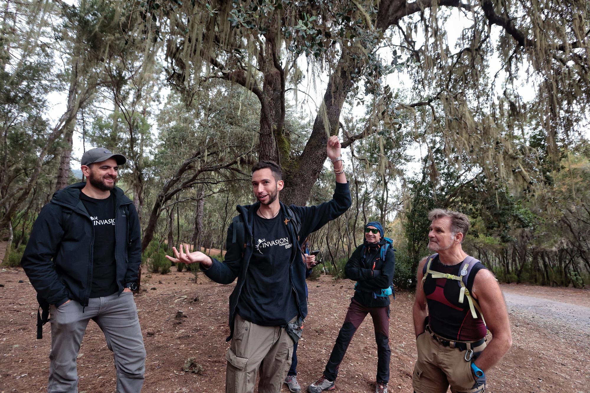 Tercera edición del Biomaratón de Flora Española, en el Parque Recreativo La Caldera, La Orotava