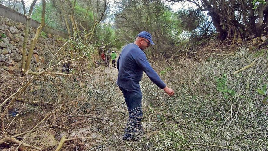 Un operario, durante los trabajos de limpieza de un torrente en Mallorca.