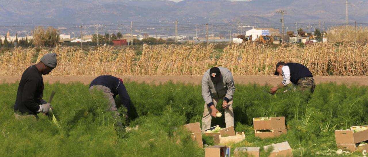 Los recortes fiscales que prepara Hacienda por la sequía