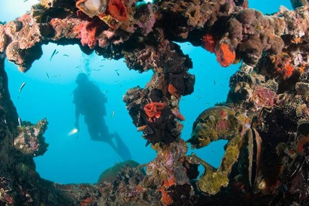 Buceador explorando un carguero japonés hundido durante la Segunda Guerra Mundial en las Islas Carolona, en los Estados Ferderados de Micronesia.