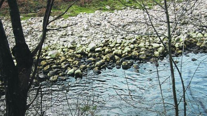 Tramo del río Nalón afectado por los vertidos, a la altura de Comillera, en Sobrescobio.