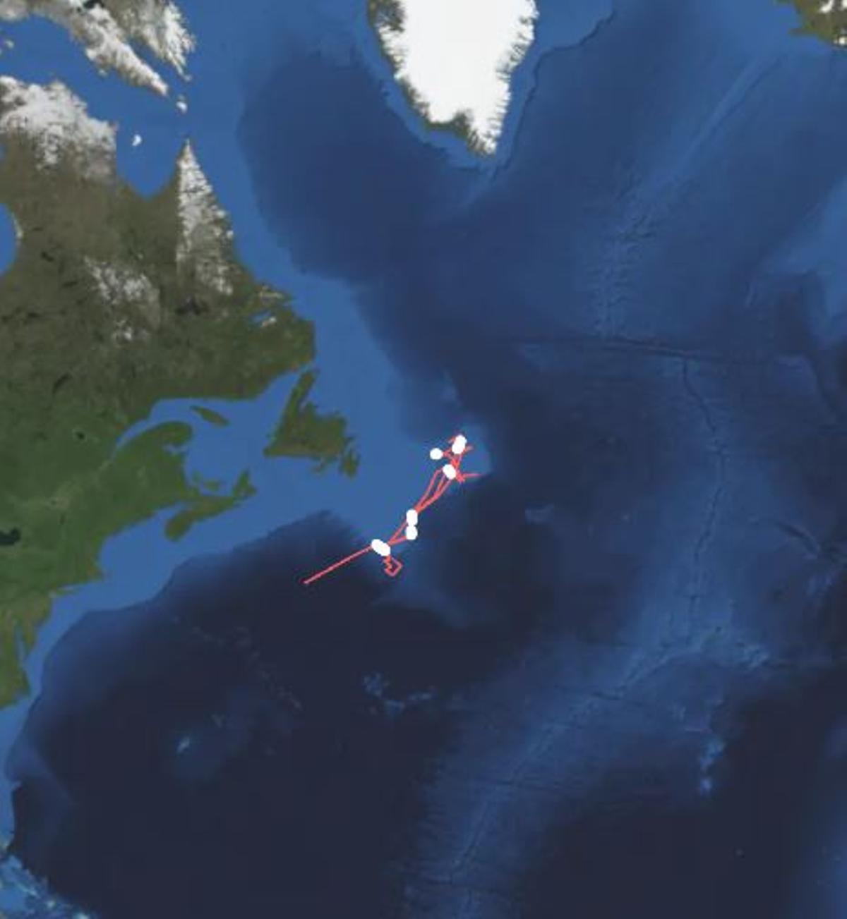 Derrota de la última marea del «Novaya Zemlya», lejos de Mar de Labrador e Irminger
