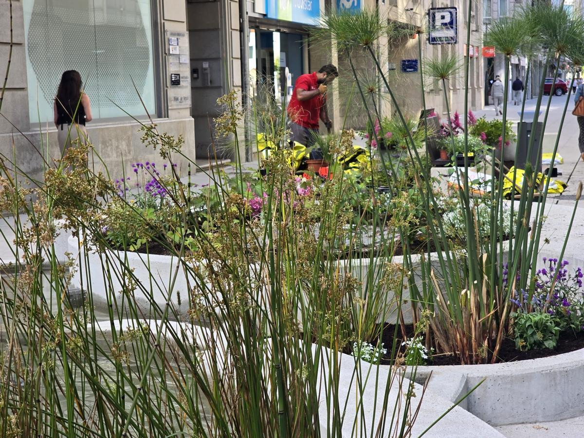 Los operarios municipales se encargan esta mañana de recuperar los deteriorados jardines de la peatonalizada calle de Arzobispo Lago, en Vilagarcía.