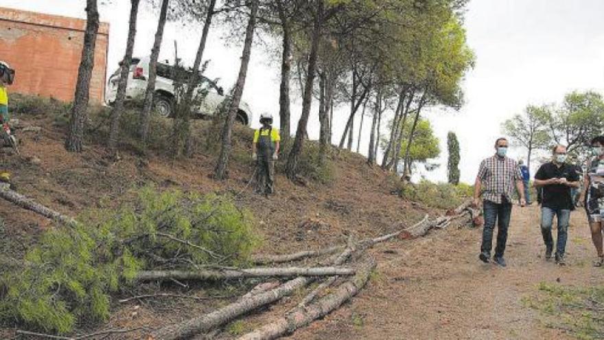 La Diputación limpia el entorno de Penyeta para prevenir incendios
