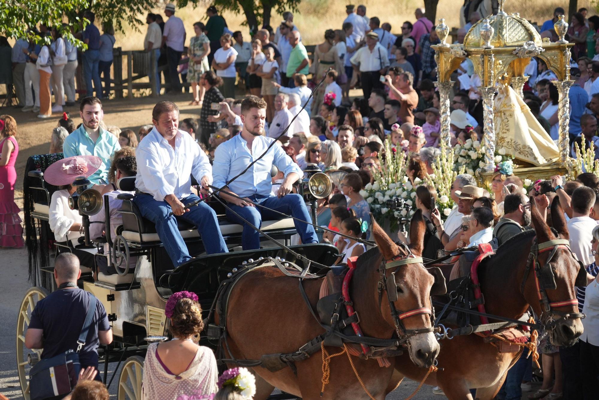 Piostros de Pedroche