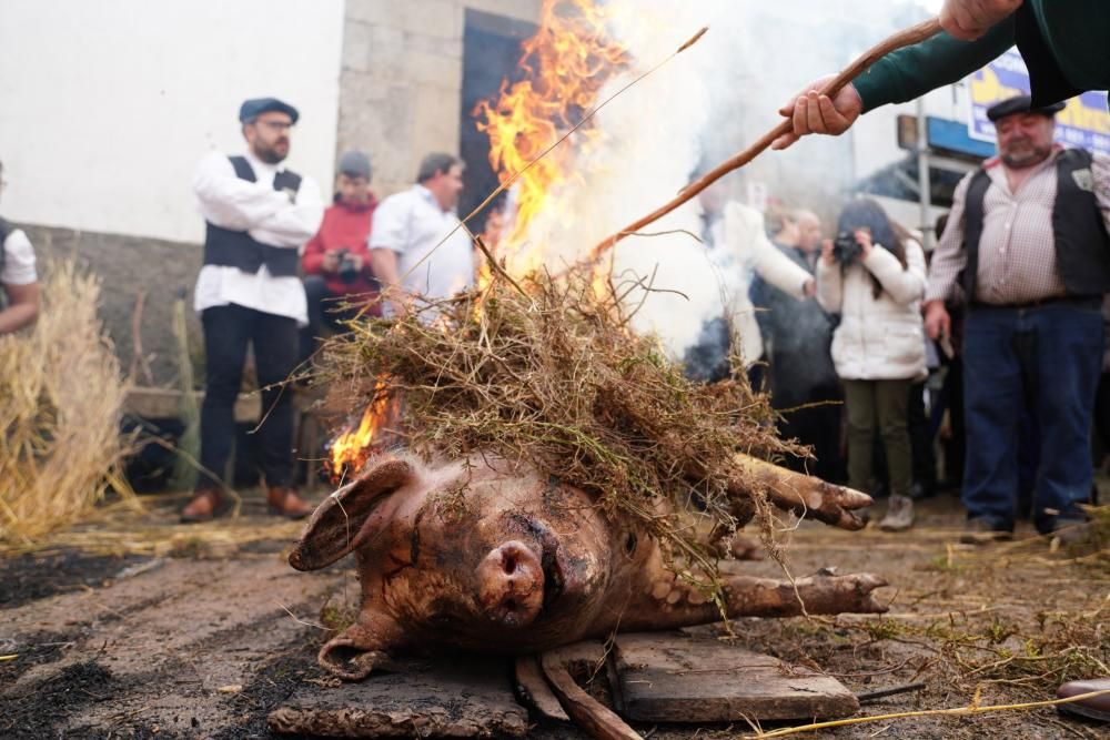 Donsión celebra por todo lo alto su Matanza Tradicional do Porco