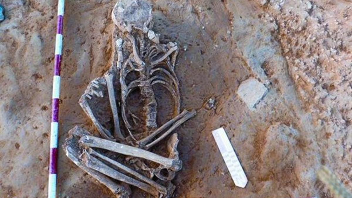 Primer esqueleto, con las piernas en posición forzada, encontrado en el enterramiento de La Sagrera.