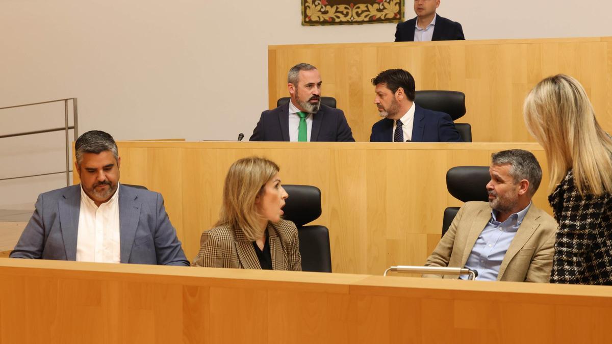 Una imagen del pleno de marzo de la Diputación de Málaga.