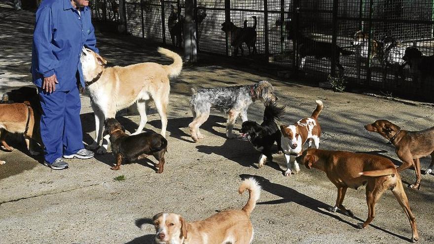 Organizan una ruta nocturna por el paseo fluvial de Plasencia para ayudar a los perros del Refugio