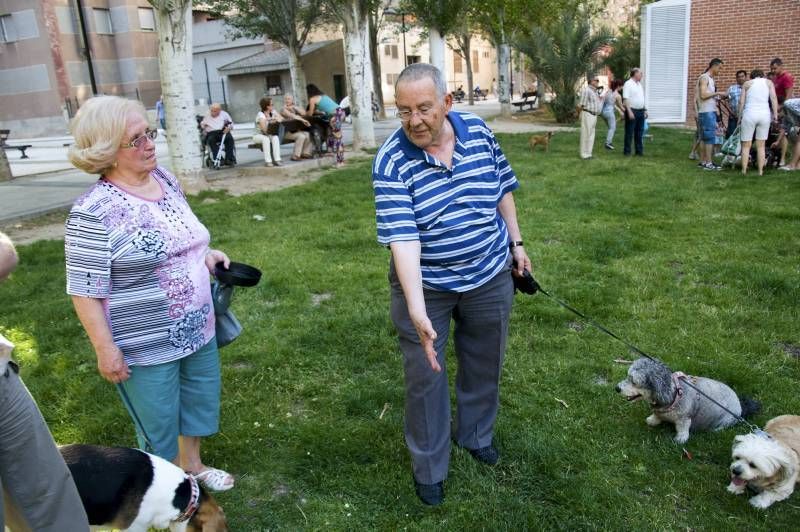 Fotogalería: Rechazo vecinal a la muerte del perro de Las Delicias