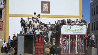 Buena tarde taurina en el día del homenaje al primer presidente de las fiestas de Sant Vicent de la Vall