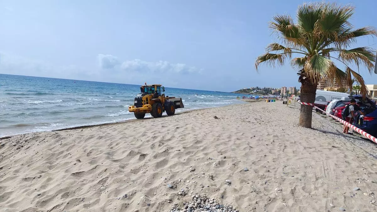 Orpesa remata la mayor aportación de arena de su historia para asegurar sus playas todo el verano