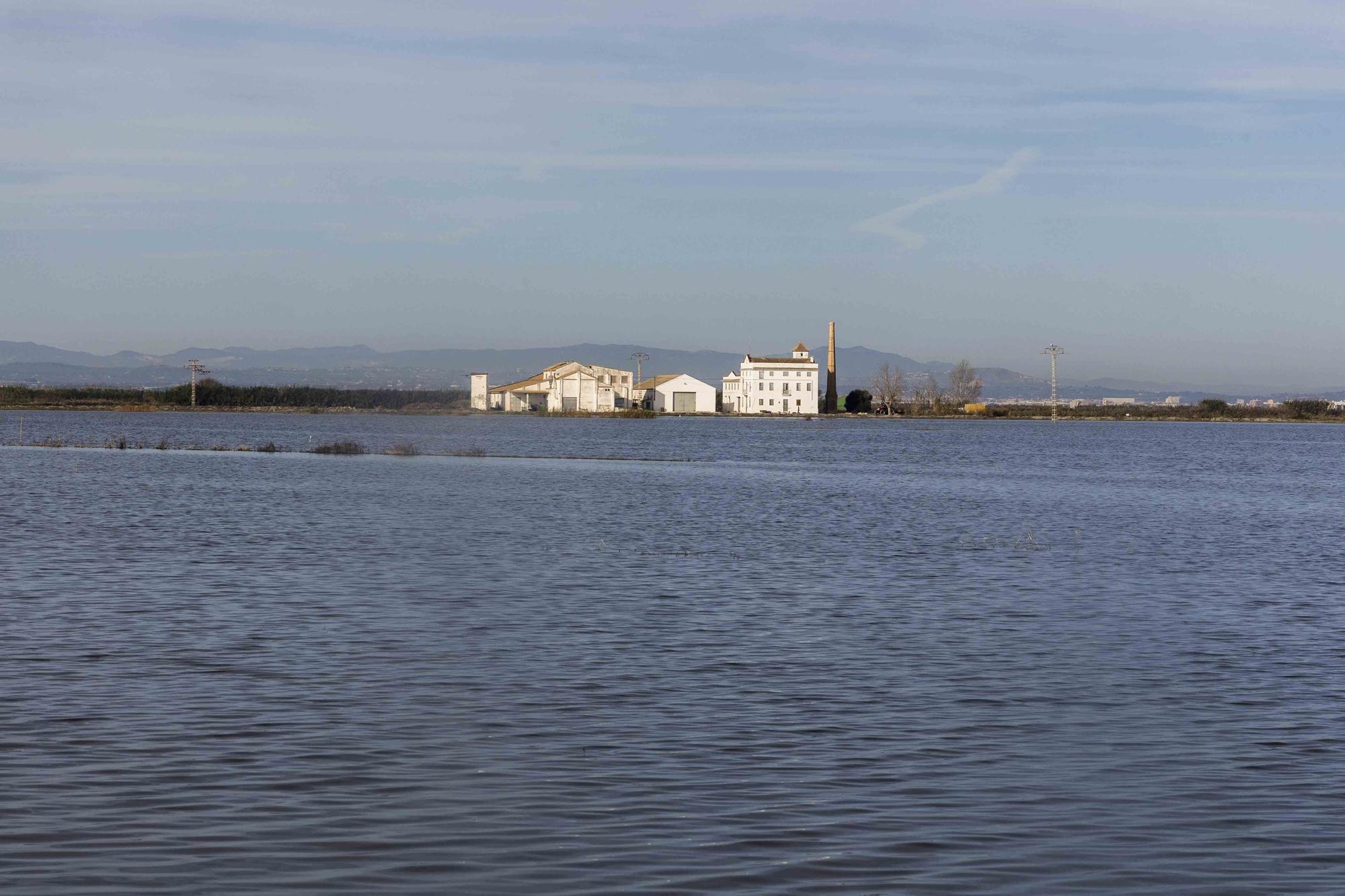 L'Albufera y su biodiversidad disfrutan de una caudal histórico