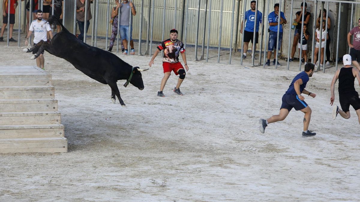 El Moralet volverá a celebrar en agosto sus festejos con vaquillas