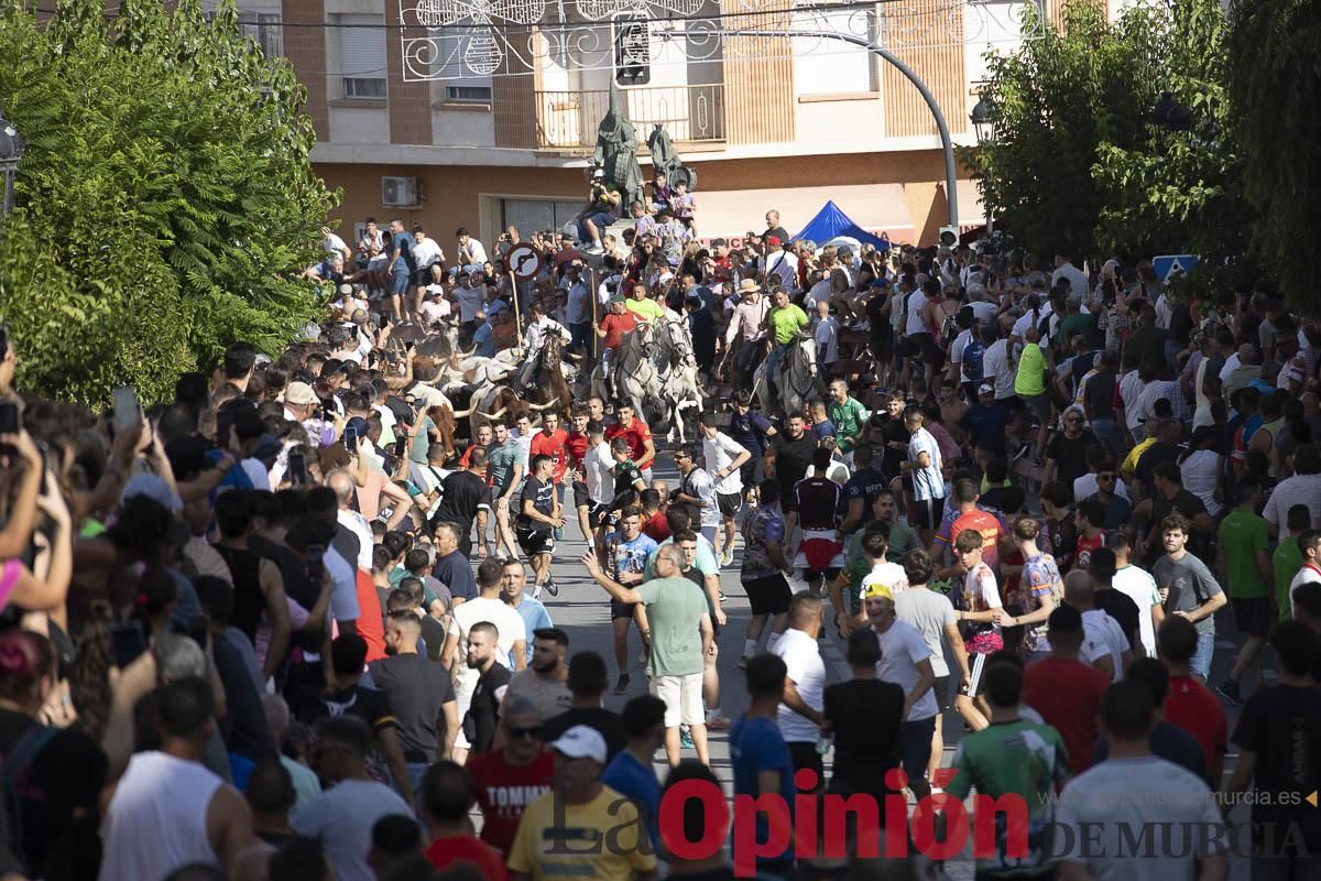 El segundo encierro de las Fiestas de Moratalla se salda con un herido