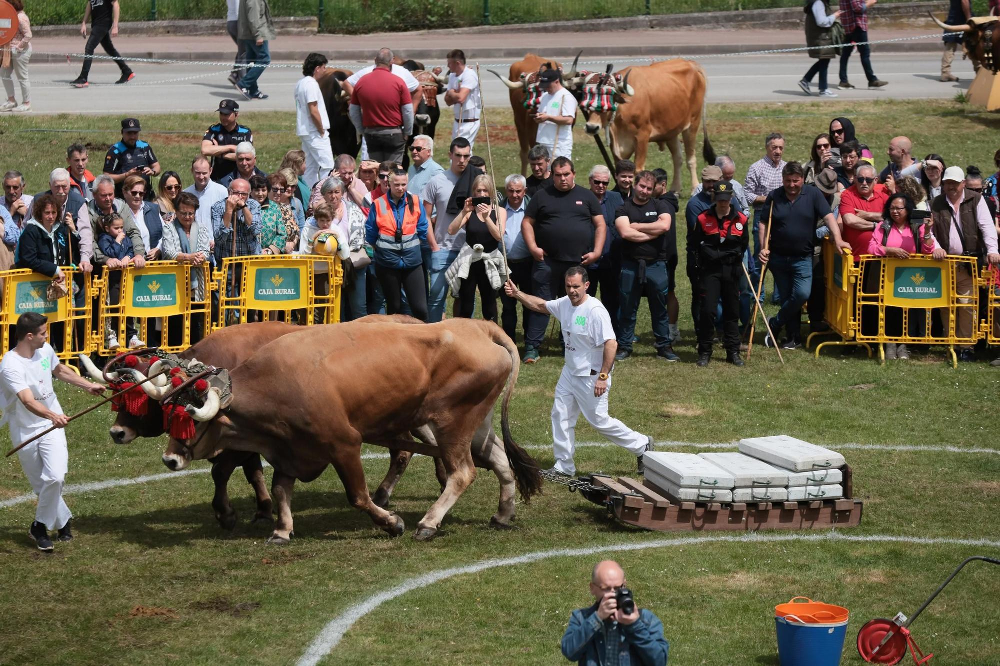 Llanera clausura por todo lo alto la Feria de San Isidro