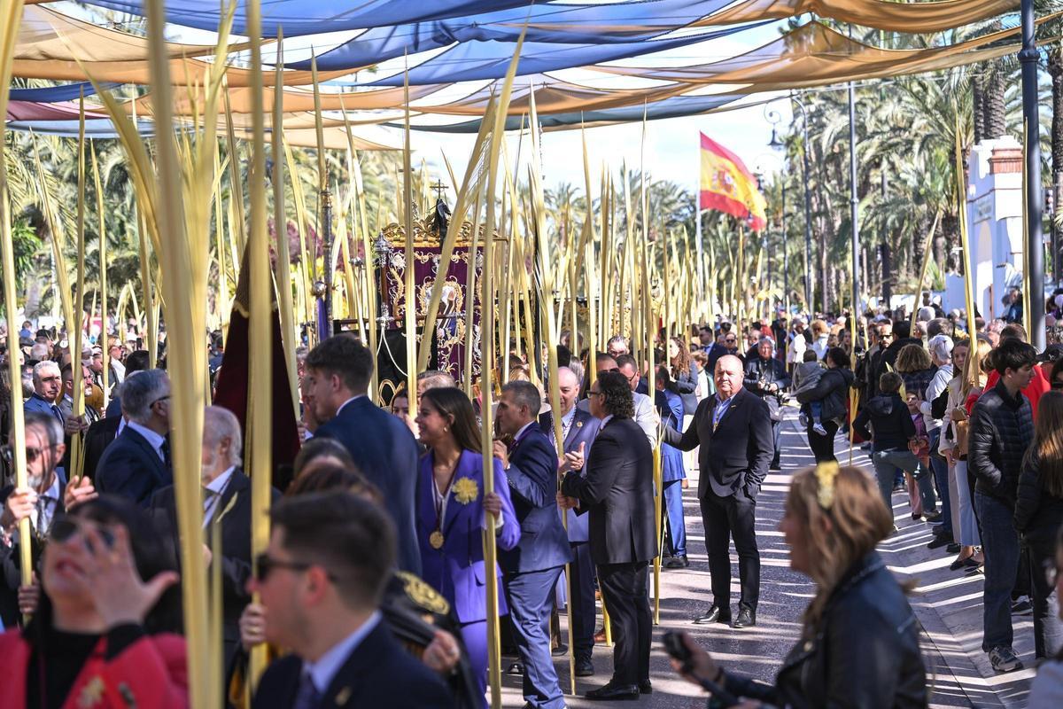 Las mejores imágenes del Domingo de Ramos en Elche