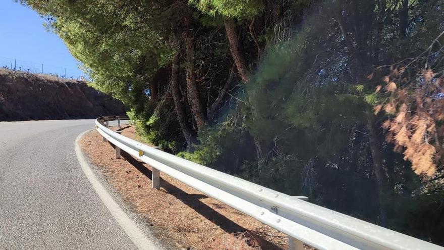 Fallece un hombre en un accidente de tráfico en Almogía