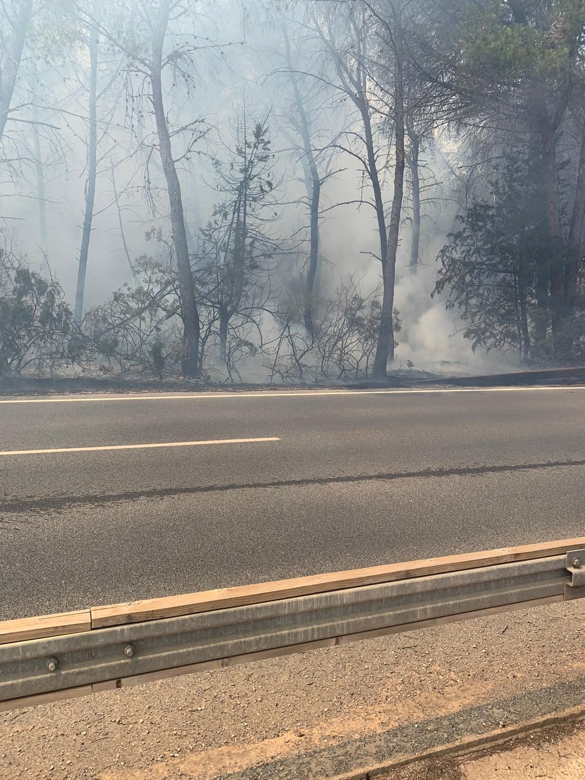 Incendio forestal en Ibiza