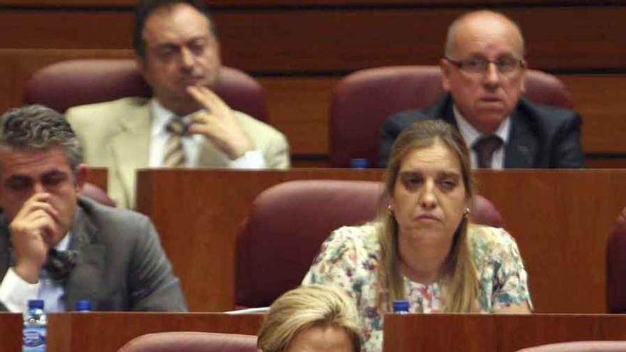 Los procuradores, entre ellos la zamorana Rosa Valdeón, durante el debate.