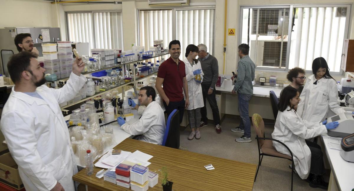 El equipo de científicos del Departamento de Genética y Microbiología de la UMU que ha logrado el hito.