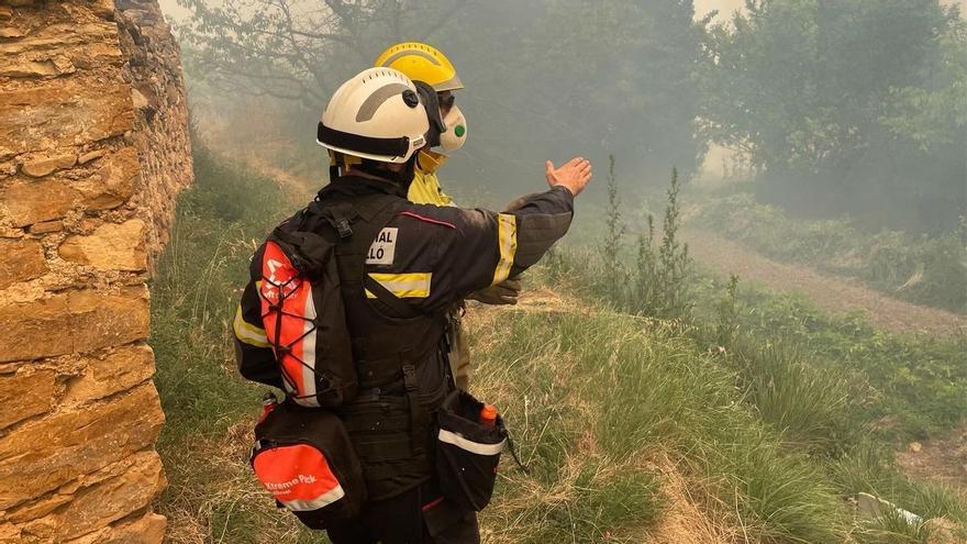 Se declara un incendio forestal en el Parque Fluvial del Túria en Manises