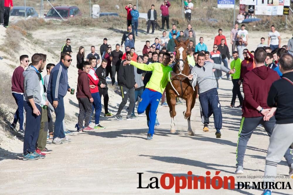 Entrenamiento Caballos del Vino