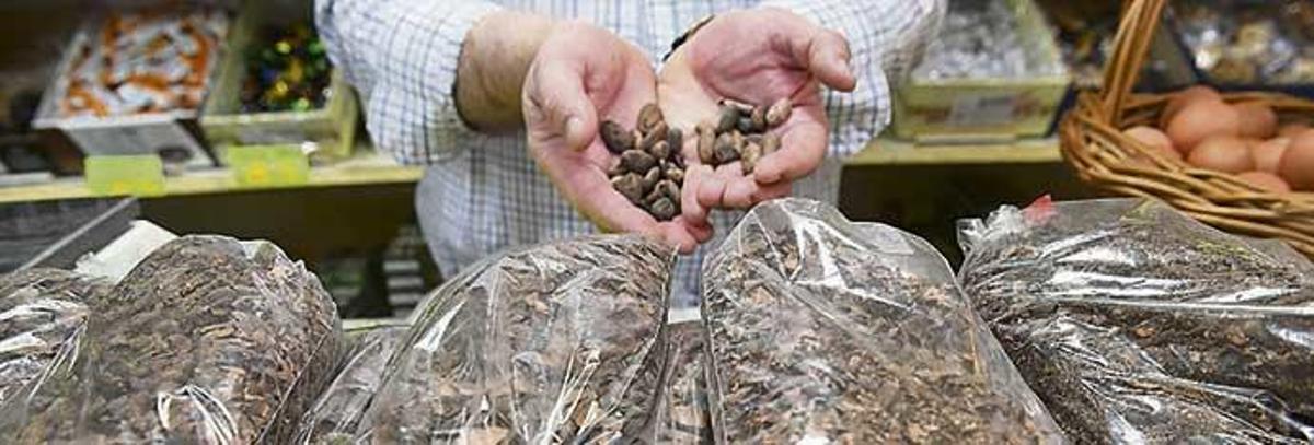 Bolsas de cascarilla en Casa Cuenca.
