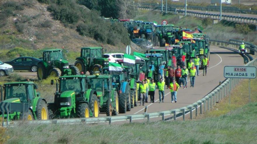 Medio millar de tractores paralizan las Vegas Altas por una agricultura rentable