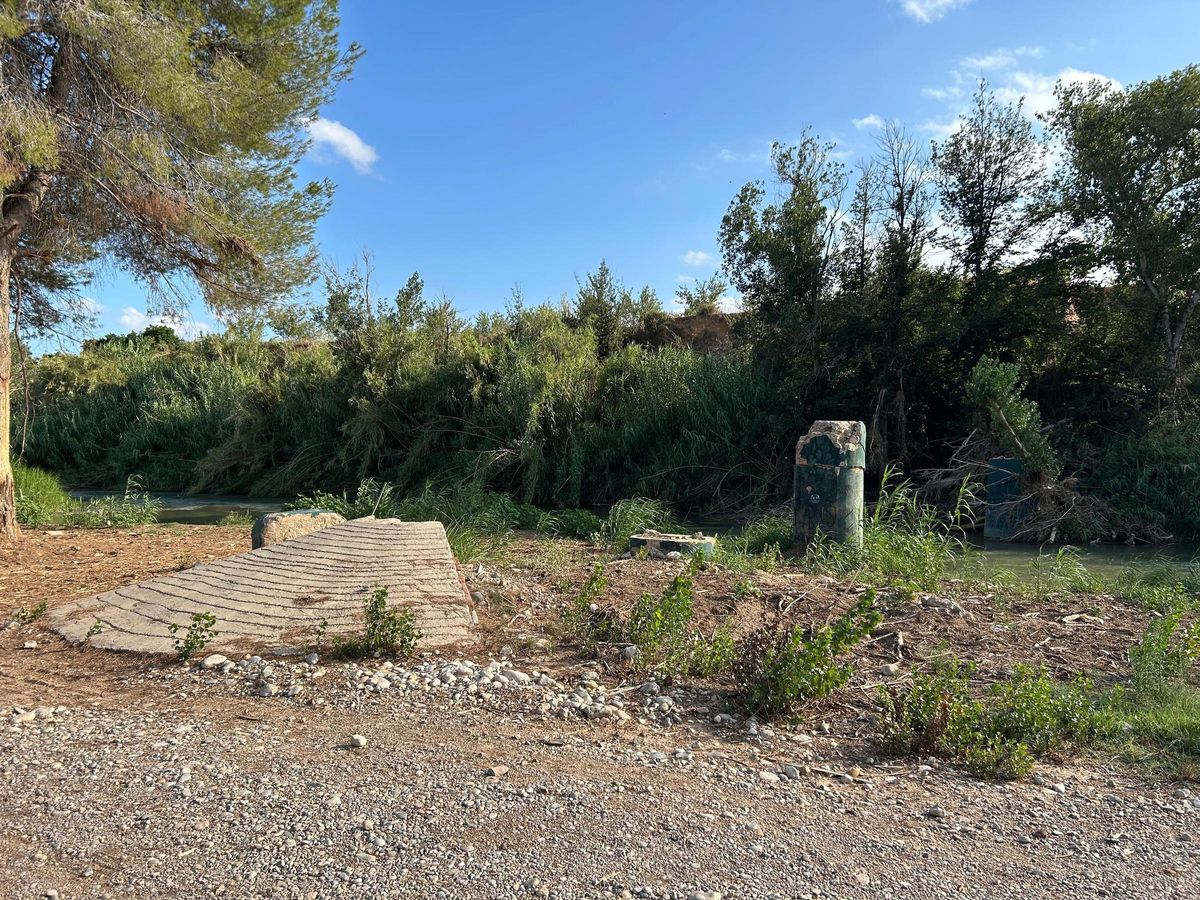 Estado de una área cercana al área recreativa La Playeta de Pedralba